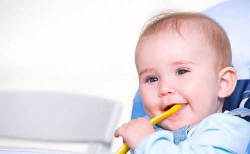 為何外國媽媽從不追著寶寶喂飯,無非做好了這3點,尤其最后一個必須點贊