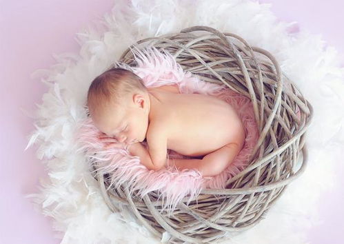 帶孩子很辛苦,幾個月大的寶寶容易帶,帶著不累 為什么