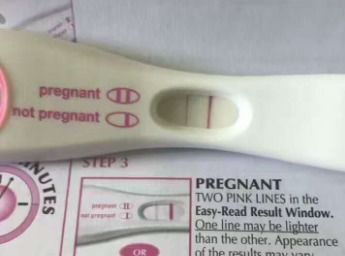 華裔寶寶 圖 ,捐卵公司,捐卵